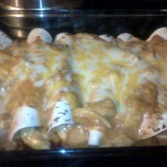 A picture of cheesy chicken enchillada.