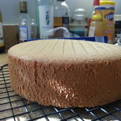 A picture of Foolproof sponge cake.