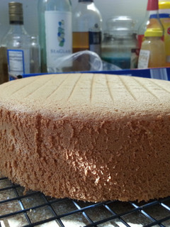 A picture of Foolproof sponge cake.