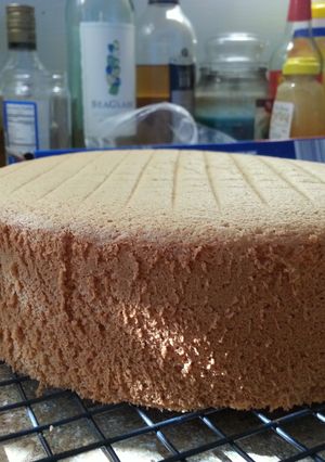 A picture of Foolproof sponge cake.