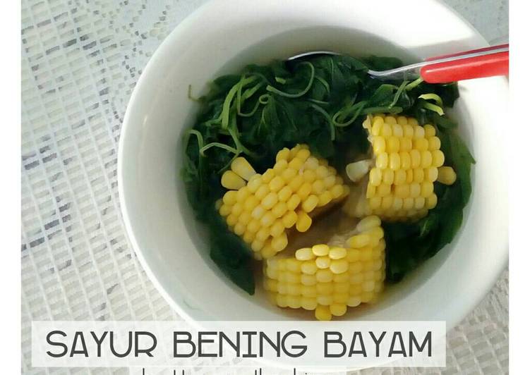 Bagaimana Menyiapkan Sayur bening bayam + jagung manis yang Menggugah Selera