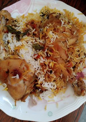 A picture of Sindhi biryani.