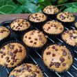 Banana Muffin