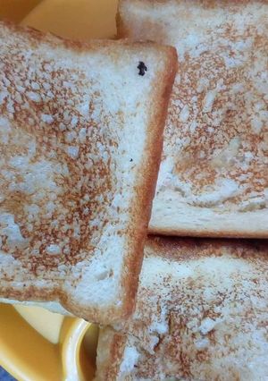 A picture of Aloo toast.