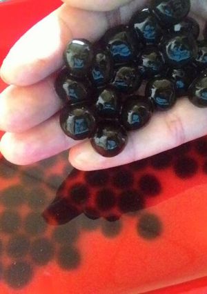 Foto resep Ice Bubble