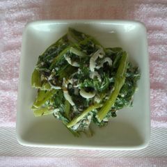 A picture of Spinach and Shirasu Tossed with Mayonnaise Ginger Sauce.