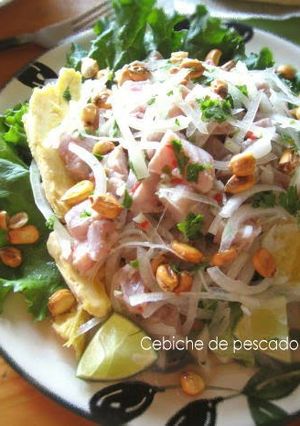 A picture of Peruvian Cuisine -- Ceviche.