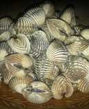 Kerang Rebus Sambal Kecap