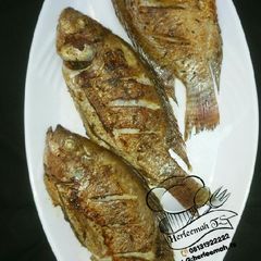 A picture of Gasasshen kifi.