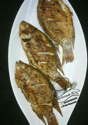A picture of Gasasshen kifi.