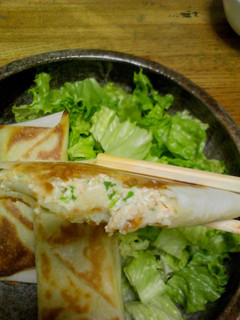 A picture of Falafel Tofu Spring Rolls.