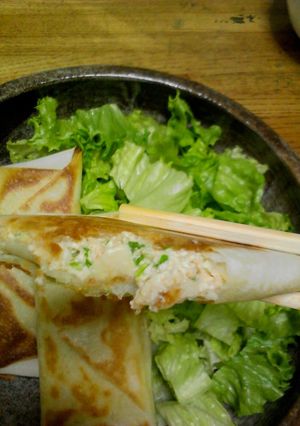 A picture of Falafel Tofu Spring Rolls.