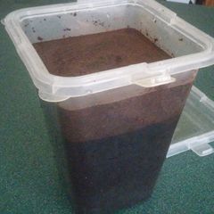 A picture of Cold-Brewed Coffee Concentrate.