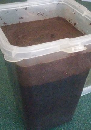 A picture of Cold-Brewed Coffee Concentrate.