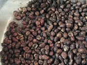 A picture of salty roasted peanuts