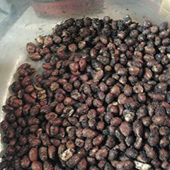 A picture of Roasted Salty chocolate covered wasabi peanuts.