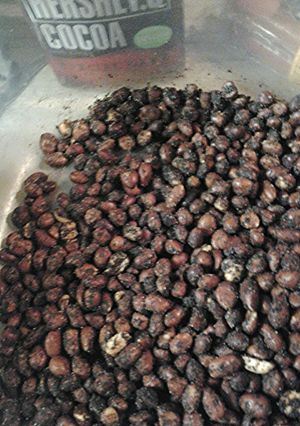 A picture of Roasted Salty chocolate covered wasabi peanuts.