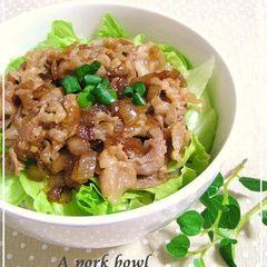 A picture of Pork Rice Bowl (Rich and Delicious).
