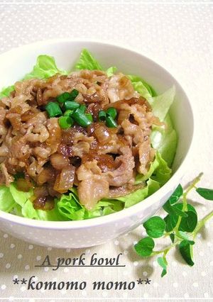 A picture of Pork Rice Bowl (Rich and Delicious).
