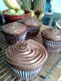 Chocolate Cup Cakes