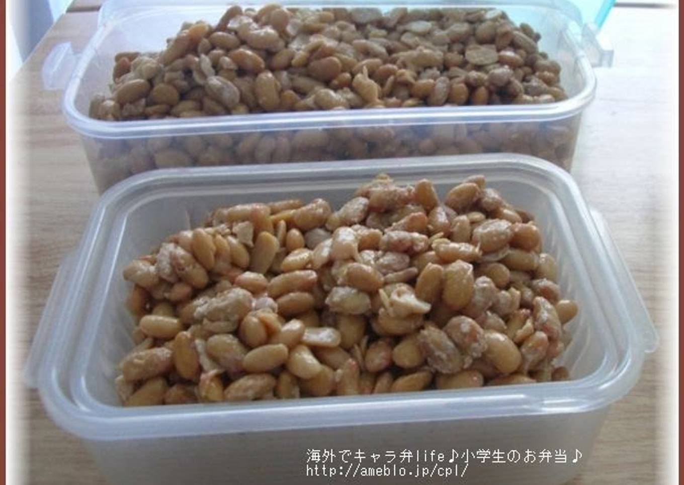 Homemade Natto Using a Yogurt Maker - Japanese Food Anywhere You Go