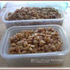 A picture of Homemade Natto Using a Yogurt Maker - Japanese Food Anywhere You Go.