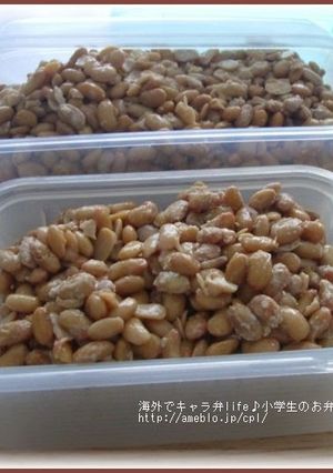 A picture of Homemade Natto Using a Yogurt Maker - Japanese Food Anywhere You Go.