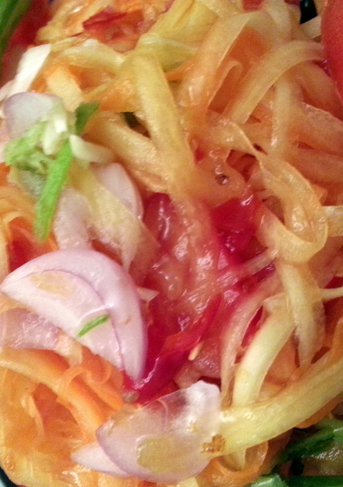 A picture of Papaya Salad.
