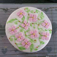 A picture of Chocolate & Vanilla Flower Cake.