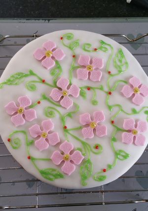 A picture of Chocolate & Vanilla Flower Cake.