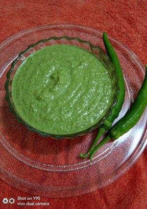 કોથમીરની ચટણી (Kothmir Chutney Recipe In Gujarati) રેસીપી મુખ્ય ફોટો