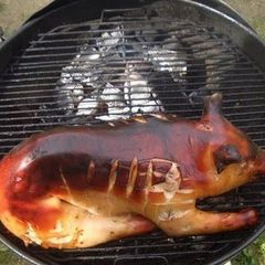 A picture of One Whole Piglet BBQ'ed.