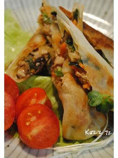 A picture of Crispy! Pan-fried Spring Rolls.