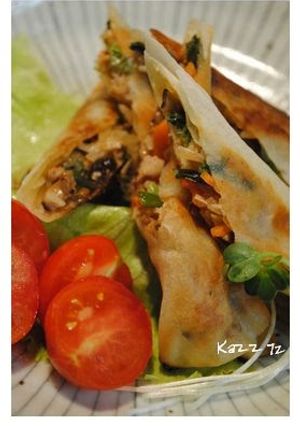 A picture of Crispy! Pan-fried Spring Rolls.