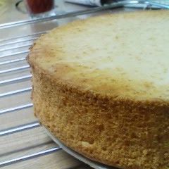 A picture of Easy! Delicious! Egg-Free Sponge Cake.