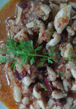 A picture of Laap Kai or thai spicy chicken salad.