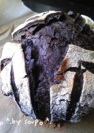 A picture of Black Pain de Campagne.