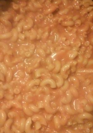 A picture of Homemade spaghettos.