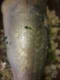 Anchoa al horno
