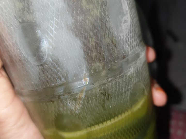 Cara Gampang Membuat Pokcoy Smoothies yang Enak Banget