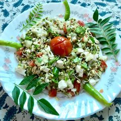 A picture of Sprouted Moong diet salad.