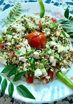 A picture of Sprouted Moong diet salad.