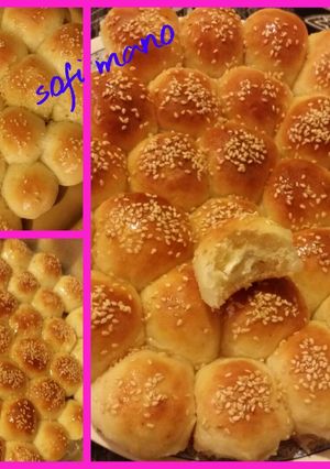 صورة لوصفة خلية النحل🐝🐝