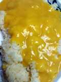 curry gravy