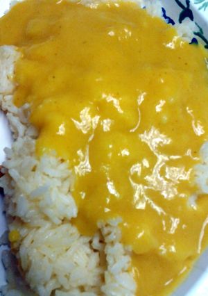 A picture of curry gravy.