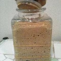 A picture of Perfect Fermentation - Homemade Tea Yeast.