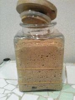 A picture of Perfect Fermentation - Homemade Tea Yeast.