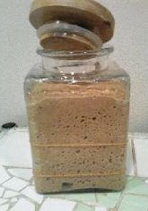 A picture of Perfect Fermentation - Homemade Tea Yeast.