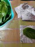 "Caramelle profumate" di basilico (da conservare*) 🍬🌱🍃
