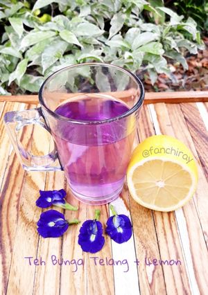 Foto resep Teh Bunga Telang Lemon (Telmon drink)